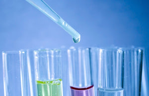 Micronutrients + Organic Acid Testing - Urine + Blood Test